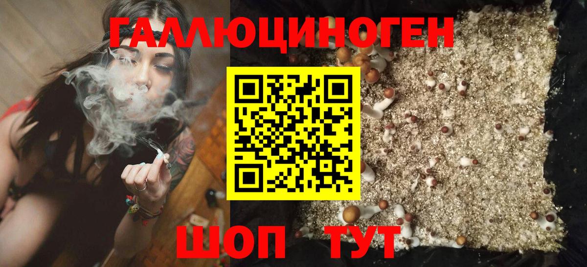 купить закладку  Вход с VPN  Сызрань  Галлюциногенные грибы Cubensis 